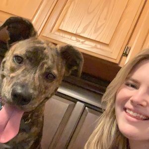 Meet your Posher, Madeline